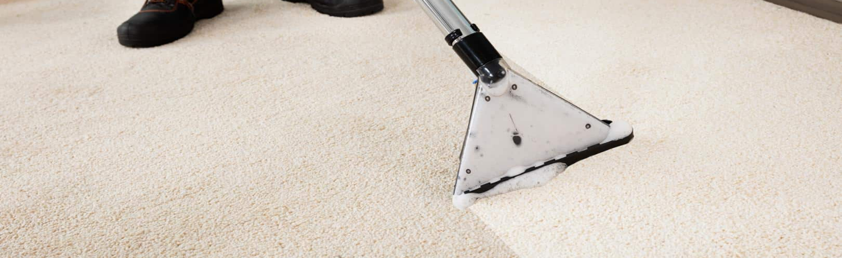 GCarpet Cleaning after Renovation